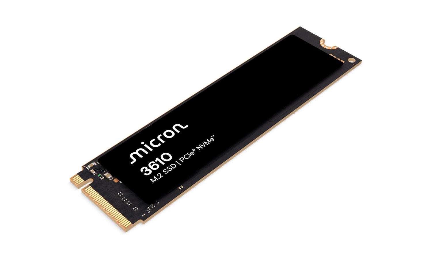 Micron 3610