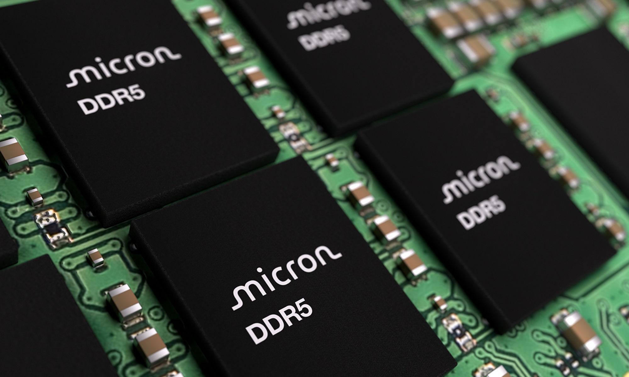 close up of ddr5 module